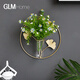 Wall decoration pendant wall hydroponic vase wall hanging creative restaurant wall wall decoration pendant home living room back round test tube hydroponic + 64 small hydrangea white