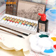 Surada Chinese Painting Pigments Chinese Painting Pigments Chinese Painting Pigment Set Beginner Students Children's Ink Painting Landscape Painting 12 Colors 12ML Handbag Set SD150