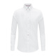Navigare Italian small sailboat long-sleeved shirt men's spring easy-to-care and non-iron shirt solid color casual and versatile inch shirt men bleaching XL /41