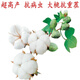Miao Chongchong Xinjiang Cotton Seeds High Yield Lazy Man Thousand Jin Jin is equal to 0.5 kg Wang Datian Planting Xinjiang High Yield Cotton Seeds This Year's New Seeds Package Selected 50