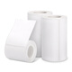DETONG DETONG DP30S/DP305P Etiqueta de impresión de etiqueta ancha de etiqueta en blanco sensible en blanco Tabón de ropa de código de barras autoadhesivo de papel alimento Food Activos fijos Sensibles Termales Silver [la siguiente etiqueta DP40S/DP12369/12370 Máquina