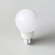 Foshan Lighting (FSL) LED bulb energy-saving lamp A60 bulb E27 large screw mouth 10W white light 6500K