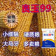 Arbre de semence de maïs Liangyu 99 à rendement stable approuvé au niveau national, grain fin, résistant aux températures profondes, résistant à la verse, résistant aux maladies, semence de maïs à rendement super stable, Liangyu 99 original, 4200 grains, un acre de terre