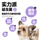 RAMICAL Probiotics for Pets Dogs and Cats Intestinal Bao Active Intestinal Benefits 5g*8 Pack