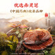 Beijing Tongrentang Break Wall Ganoderma Lucidum Spore Powder Regalo Box Ganoderma Lucidum Spore Polvo Mejimiento de la inmunidad Caja de regalo de regalos de 4 piezas [Familia Zhenli]