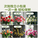 Stanley flower preservative household nutrient solution florist special extender sachet lily rose fresh cut flower 100ml