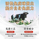 
Beijing Tongrentang [Directly sold in pharmacy] Immunoglobulin capsules Beef Colostrum oral capsules Immunoglobulin gel to improve immunity 2 boxes [Randomly sent for new and old packaging]