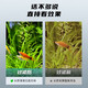 boxtech鱼缸过滤器滴流盒鱼池水族箱上过滤滴流槽三合一过滤器顶滤上滤盒 【套餐】滴流盒3层9盒+22W水泵