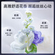 FINO芬浓【丁禹兮同款】透润美容液洗护套装 修护烫染受损滋养丝滑