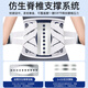 PROPARD medical support belt, lumbar disc strain, lumbar disc herniation, psoas muscle pain, men and women, waist circumference, waist support, waist corset LY93 to relieve pain | steel plate support, L size 2 feet ~ 2 feet 5, suitable for 100 ~ 140 Jin Jin equals 0.5 kg