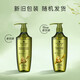 Schwarzkopf Ginger Essence Shampoo Oil Control Type 400ml [Expiration Clearance]