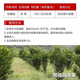 
One seven hoe 757 glyphosate herbicide glyphosate ammonium salt orchard wasteland beef tendon grass die grass root rot agent pesticide dead grass root rot [200 bags whole box]