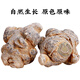 Pékin Tongrentangtianqi Chinois Herbal médecine 20 Heads of Panax Notoginseng Wenshan Authentic Water Washing Yunnan Chun Sanqi Head n'est pas de qualité spéciale Panax Notoginseng [30 têtes] 500 grammes