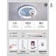 五光十色灯具吸顶灯360度摇头变频电机全光谱LED宇航员电风扇 1W 9194火箭风扇灯  无极调光+C