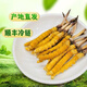 2025 Fresh Cordyceps sinensis top period Selected fresh Cordyceps SF Express cold chain origin straight hair large fresh grass. Each fresh Cordyceps in Tibet has 0.6 grams of 100 pieces packed with 0.6 grams of each