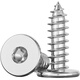 Tianzhuo Hardware 304 stainless steel flat head hexagonal self-tapping screws large flat head ultra-thin head screws low head round head self-tapping screws M2*4 100 pieces