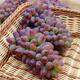 Grape seeds potted fruit tree seeds grape balcony fruit seeds grape tree grape planting Kyoho grape seeds 28 capsules p