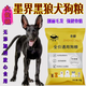 Zhongchun Chinese Mojie black wolf dog special dog food large packaging 40 Jin Jin equals 0.5 kg, 10 Jin Jin equals 0.5 kg, adult dog and puppy food general type 2, classic 10 Jin Jin equals 0.5 kg, fruit, vegetable and beef