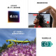【9成新】Apple/苹果 iPhone 16 Plus（A3291）256GB 深青色 支持移动联通电信5G 双卡双待手机
