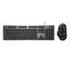 Logitech K845 Teclado mecánico Gaming Wired Sesports Oficina de computadora Tamaño completo Luminoso 104 Teclas de teclado Mito de mouse Mito negro Wukong [teclado G502 y juego de mouse] Eje de té