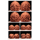 GUIG [Boutique] Southern Xinjiang Stone Wenwan Walnut Lion Head Old Style Zhuolu Basin Bottom Cannonball Pile Generation South General [41 Southern Xinjiang] 12807t