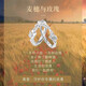 
Wheat ears and rose couple rings A pair of Valentine's Day simple wheat flower pairs fashionable simple open rings J176 wheat ears + J177 roses [2 packs] Adjustable opening
