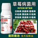Gengfengwang strawberry disease special strawberry treatment medicine, downy mildew, powdery mildew, anthracnose, root rot, gray mold, leaf spot, fruit rot 500ml (30 acres)