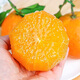 京鲜生 四川爱媛38号果冻橙 净重4.5-5斤 单果170g+ 源头直发包邮
