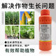 Guoguang Youlehong 8% amine fresh ester coloring increases root production, promotes cell division, preserves flowers and fruits, growth regulator 1000ml *12 bottles per box
