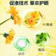 同仁堂北京同仁堂叶黄素护眼贴疲劳眼干眼涩视力模糊儿童成人冷敷10对