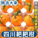 Authentic Meishan Chunjian Sichuan Rake Mandarin Special Grade Baba Mandarin Ugly Orange Fresh Fruit Seasonal Full Box 1g Authentic Chunjian Chunjian Papa Mandarin - Get ten for a fake one Rare quality With box 9-10 Jin Jin is equal to 0.5 kg The King of Fruits