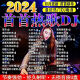 LZJV2024车载音乐U盘DJ重低音环绕劲爆舞曲网红酒吧完整版串烧嗨曲MP3 赠Type-c转换头-黑胶音质-即插 完整版1381首歌曲 38部视频