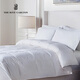 Ritz-Carlton Hotel White Goosevelt Quilt Core Herbst und Winter Down Quilt Single und Double Winter Dicked warme Quilt reines Baumwollfeder und Herbst 220x240 cm (für 1,8 m Bett) 1478G Herbst- und Wintermodell
