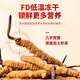 
Tongfu Cordyceps sinensis 3 roots/g 100g About 300 roots gift boxes, nourishing nutritional supplements, gifts for elders