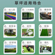 Moyi simulated lawn carpet, fake turf, green plastic enclosure, artificial grass bedding, kindergarten artificial floor mat, outdoor 20mm encrypted grass, high quality green bottom, 1 meter wide and 2 meters long