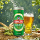 
Tsingtao beer (TsingTao) classic 330ml*12 cans full box original wort concentration 11.0P lager beer