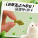 Crazy owner catnip biscuits 1000g kitten snacks cat grass grains molar sticks cat teeth grinding teeth cleaning nutrition fattening hair