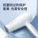 FLYCO's Borui hair dryer household high-power hair dryer travel portable hair dryer hot and cold air barber shop hair salon foldable PH1626