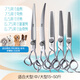 Blackbird pet scissors professional set straight cut curved scissors fish bone scissors fluffy scissors pink diamond beautician pet shop use 7.5 straight 7.5 curved 6.5 teeth 6.75 fluffy 6.75 fish bone