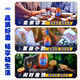劲牌 蓝标劲酒 36度光瓶酒 500ml*12 整箱装 养生酒 自饮 送礼
