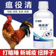 Xiong Mu Wen Ye Qing raises chickens, ducks and geese with malaise and plague, prevents chicken plague, coughs and snores, poultry feed additives 1 bottle of Wen Ye Qing 250ml