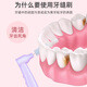 Xiaolu Mama's fine teeth cleaning brush ultra-fine 0.6mm*10 L-type orthodontic correction teeth gap brush cleaning tartar