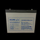 瑞谧蓄电池DJM1280S免维护12V80AH铅酸UPS直流屏EPS专用船舶机房 型号DJM12200S容量12V200
