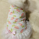 宠物大狗衣服中大型犬透气防掉毛防晒网纱萨摩金毛夏季薄款背心裙 粉色彩虹(不退不换) 110码(胸围9756-70斤左右)