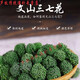 原料三七花文山三七花茶50g/100g/250g/500g四年新花正宗云南特产 四年三七花【50克】罐装