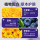香港大药房蓝莓叶黄素滴眼液黑盖款葵花叶黄素保湿护眼养眼液眼部清洁眼药水 叶黄素5盒【买3送2】