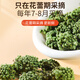 Tongrentang Marke Peking Tongrentang Sanqi Blumentee 300G Yunnan Wenshan Tianqi Saison Neue Blumen ohne Pausen und großes Tonic