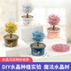 科学小实验套装种植魔法树小学生diy手工制作儿童玩具 水晶魔法树套装-粉色