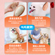 Blackbird pet handle comb cat and dog grooming brush special comb hair protection artifact massage air cushion needle comb cat comb large medium/large dog