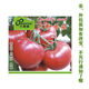 Farmer's Big Pink Tomato Seeds Big Red Four Seasons Woolly Pink Persimmon Seeds Tomato Seedlings Balcony Garden Vegetable Seeds Big Tomato Seeds 366 + Song Fertilizer
